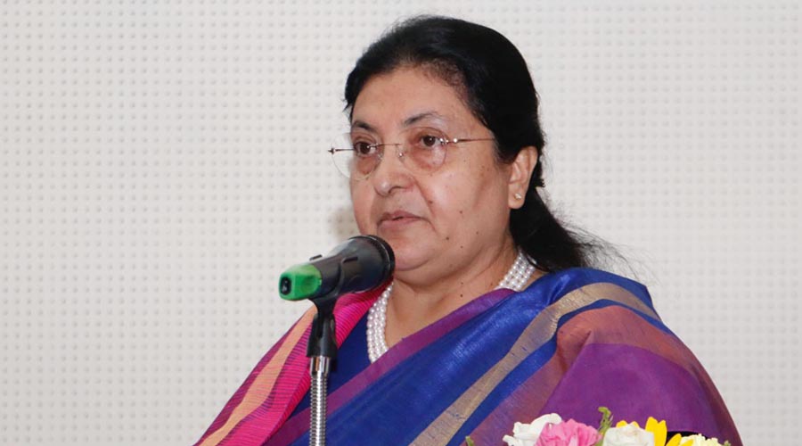 संविधानमा सबै नागरिकको समान पहुँच हुनुपर्छ : राष्ट्रपति भण्डारी